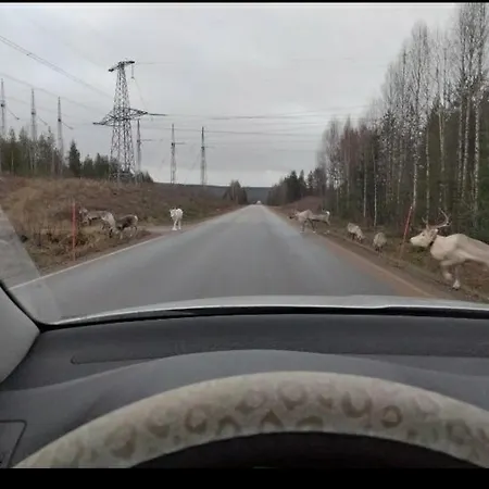 Nuoska アパート ロヴァニエミ