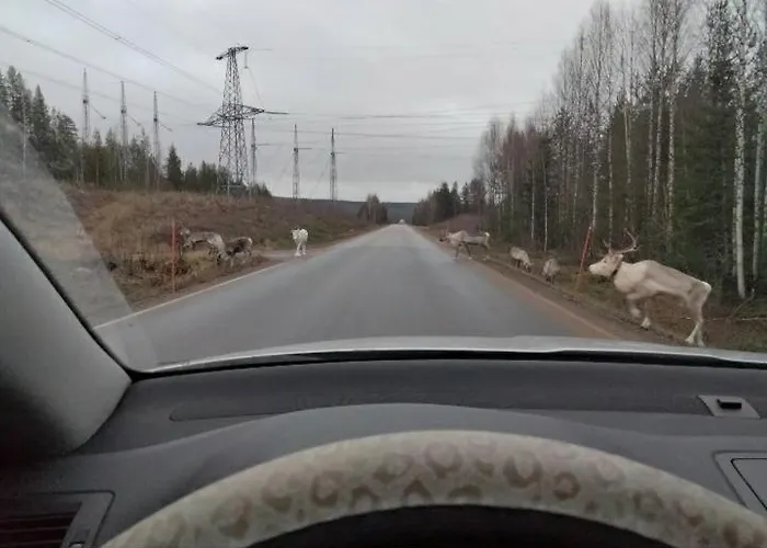 Nuoska Apartamento Rovaniemi